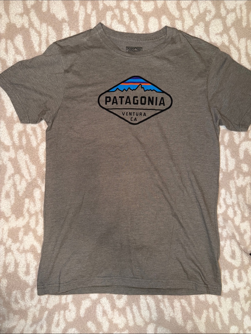 Patagonia Men’s Gray Short Sleeve Logo Tee with Blue & Orange Graphic